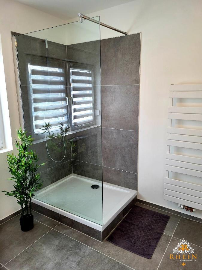Top Modernes Rhein Apartment Vallendar Mit Balkon Экстерьер фото